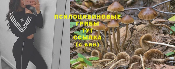 мет Каменногорск