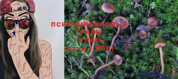 a pvp Беломорск