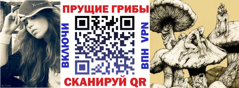 Галлюциногенные грибы мухоморы  хочу   дарк нет какой сайт  Краснозаводск 